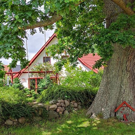 Haus Jasmin Daire Bodstedt Dış mekan fotoğraf