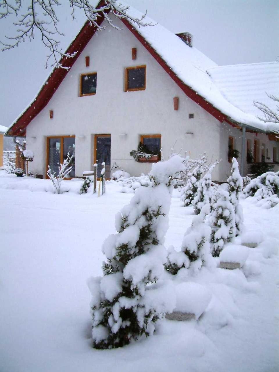 Haus Jasmin Daire Bodstedt Dış mekan fotoğraf