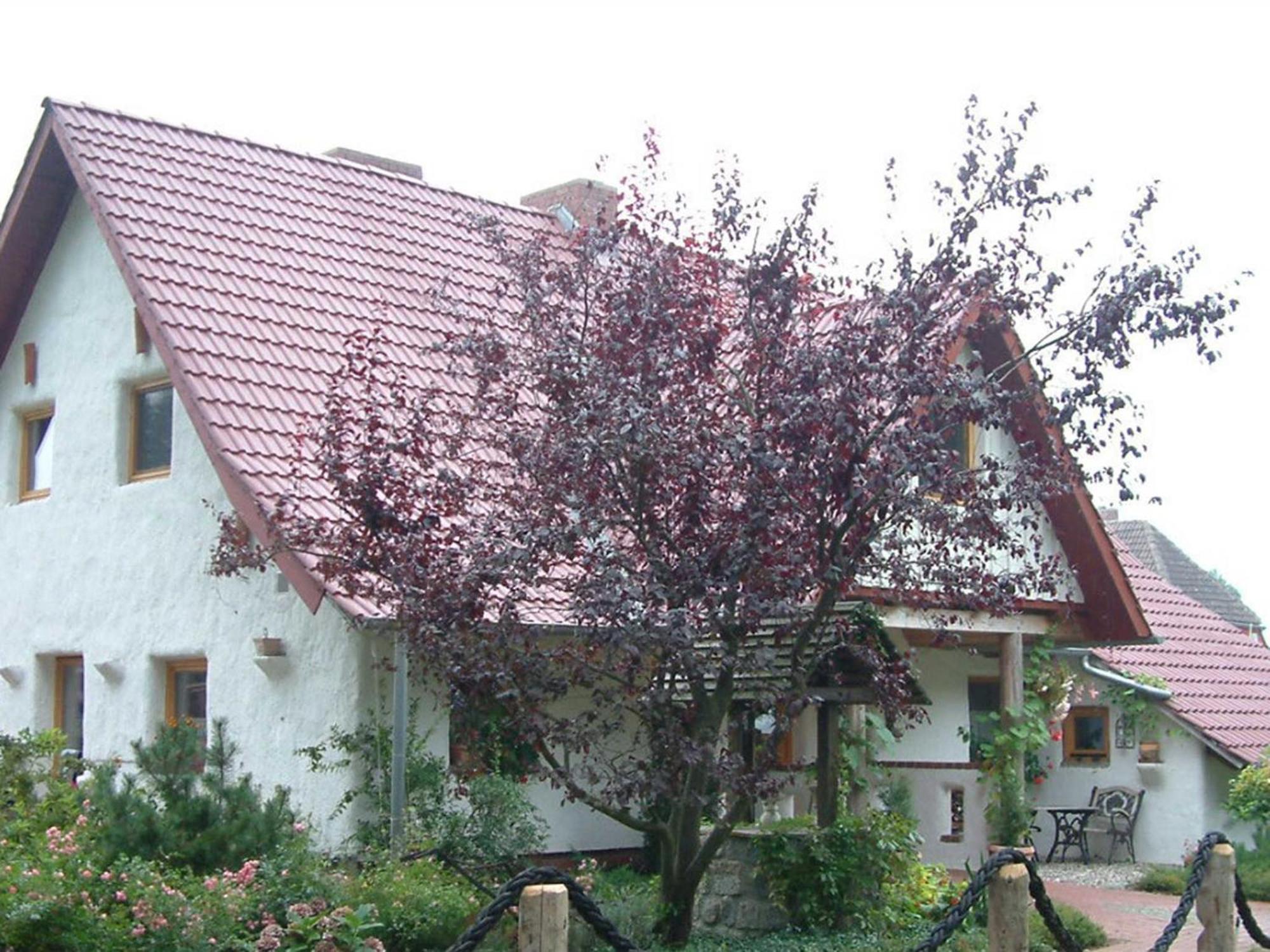 Haus Jasmin Daire Bodstedt Dış mekan fotoğraf